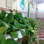 آماده برای شروع یک سال تحصیلی پر قدرت svg+xml,%3Csvg%20xmlns%3D%22http%3A%2F%2Fwww.w3 - آماده برای شروع یک سال تحصیلی پر قدرت